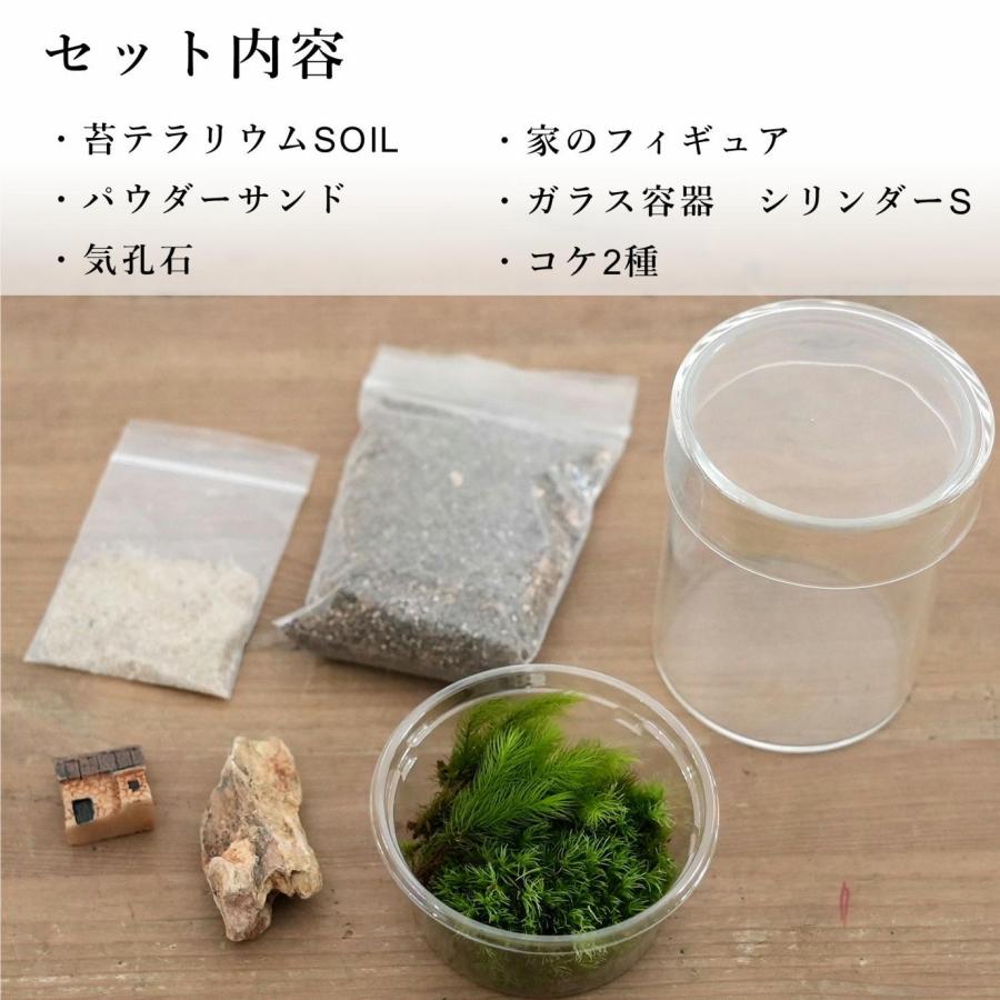 苔テラリウム キット コケリウム 初心者向け フィギュア おしゃれ