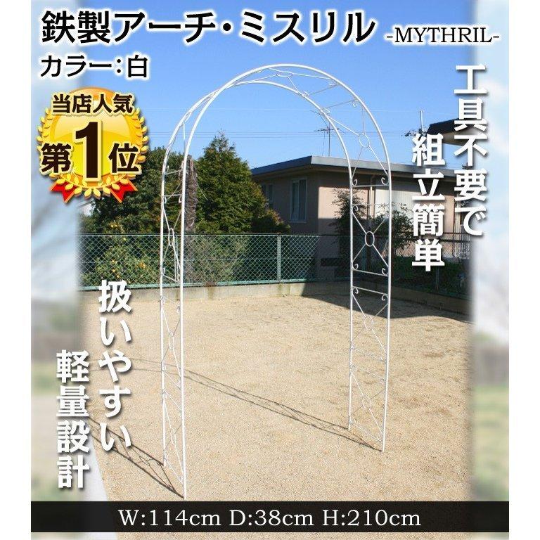 グリーンガーデンガーデンバラアーチ ローズアーチ 鉄製 スリムアーチ 白 1個 幅140×奥行38×高さ243cm パイプ径13mm Amazon.co.jp: パーゴラ・アーチ ガーデンアーチ 幅140/180/220/260/300/340cm 鉄製 バラアーチ ローズアーチ 、フラワーアーチ クライミングプラント用、組み立てかんたん (色 : Brown, サイズ : 320x230cm/10.5x7.5ft) :  DIY・工具・ガーデン