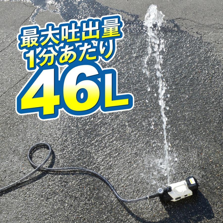 国華園 即納 ポンプ 充電式 20Vハイパワーポンプ バッテリー式