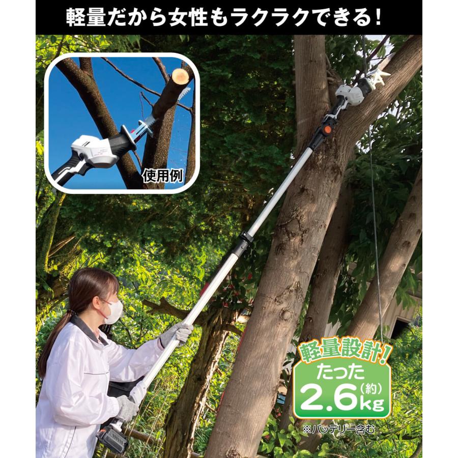 国華園 即納 ノコギリ ヘッジトリマー 電動 充電式 高枝 高枝切り