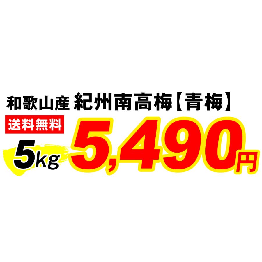 梅 5kg 紀州南高梅・青梅 和歌山産 送料無料 食品｜kokkaen3｜03