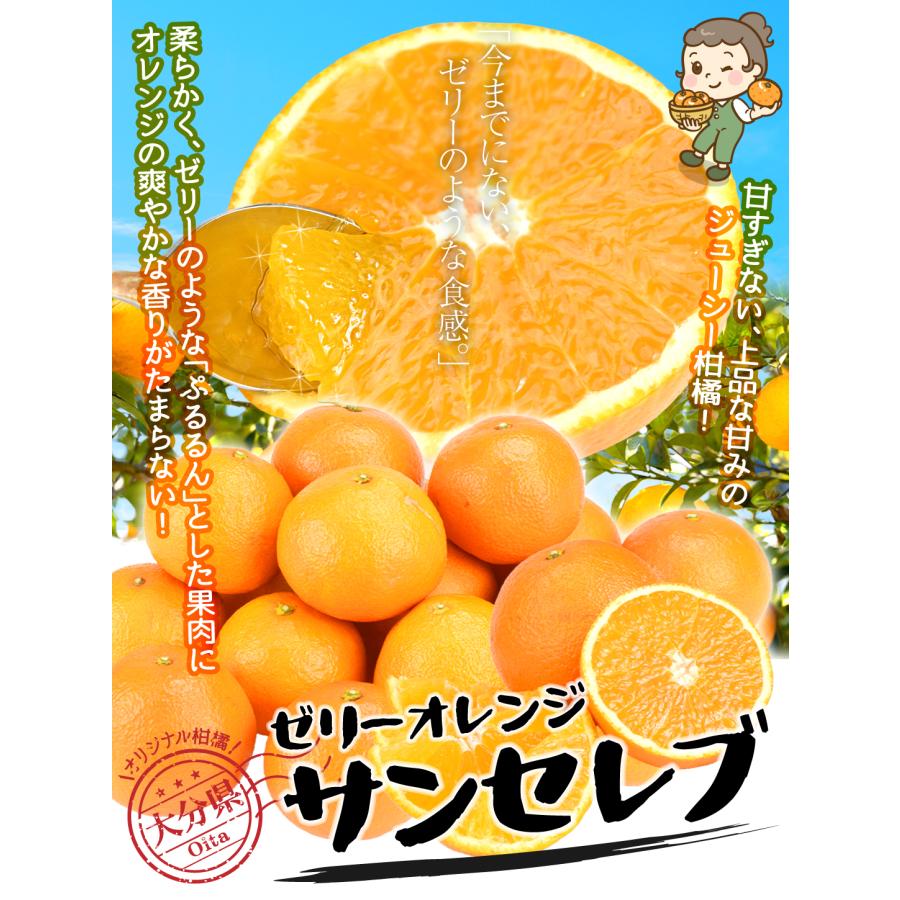 user_0c610348様お買上げ分 /   みかん 10kg お買得 サンセレブ 大分産 ご家庭用 送料無料 食品
