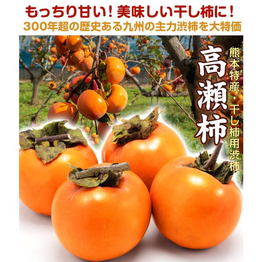 柿 10kg 高瀬柿 【干柿用渋柿】 熊本産 送料無料 食品 柿 10kg 高瀬柿 【干柿用渋柿】 熊本産 送料無料 食品