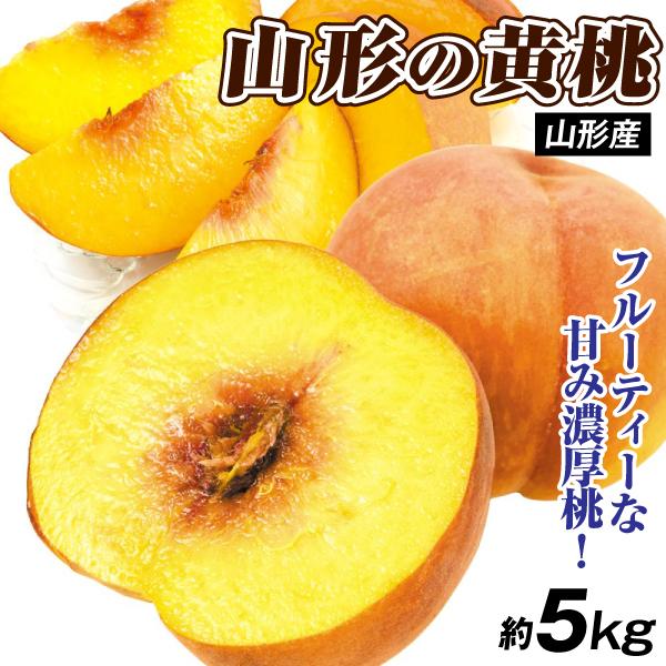 もも 5kg 大特価 山形の黄桃 山形産 ご家庭用 黄金桃 ゴールデンピーチ