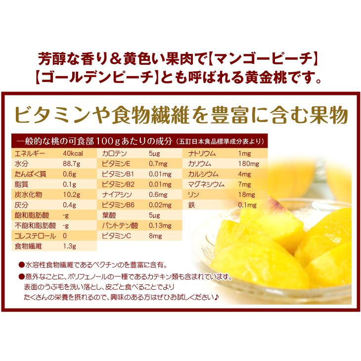 もも 5kg 大特価 山形の黄桃 山形産 ご家庭用 黄金桃 ゴールデンピーチ