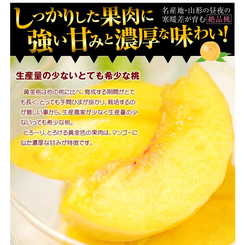山形県産　桃ご家庭用黄金桃⑤5キロ箱使用 もも 5kg 大特価 山形の黄桃 山形産 ご家庭用 黄金桃 ゴールデンピーチ