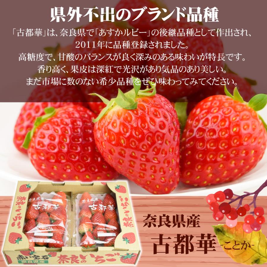 いちご 古都華 約540g（270g×2パック）奈良産 ことか ご家庭用 送料