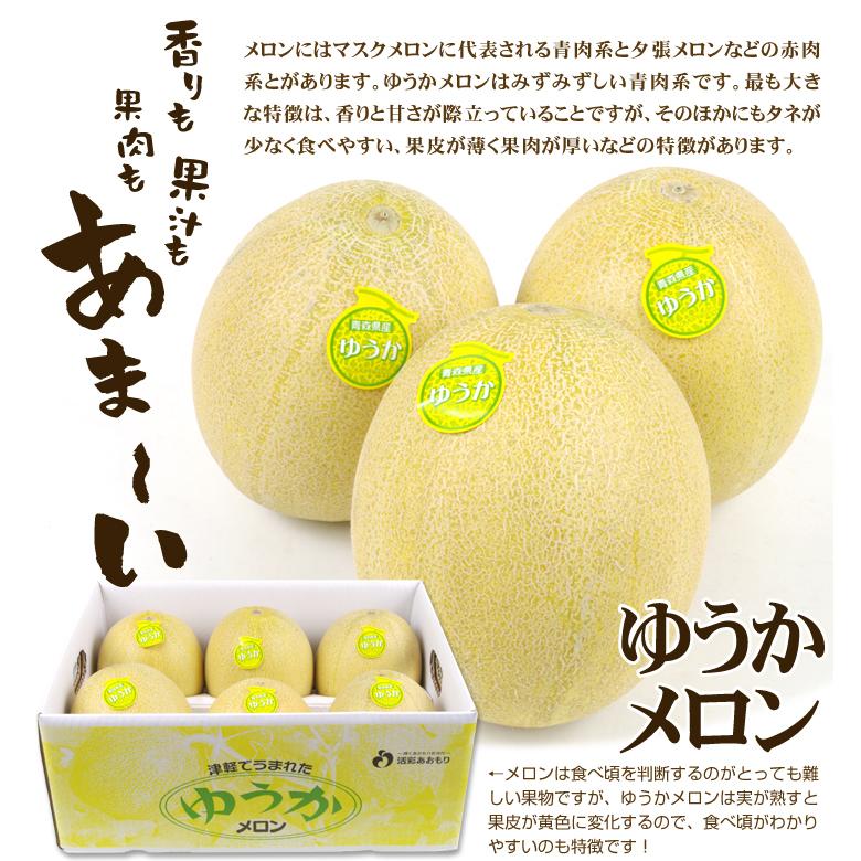 青森県産 ユウカ メロン 8kg メロン ゆうかメロン 約8kg 青森産 青肉メロン 甘い フルーツ 果物