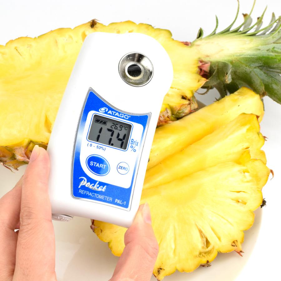 パイン 台湾産 金鑚パイン 10kg 芯までOK 鳳梨 送料無料 食品