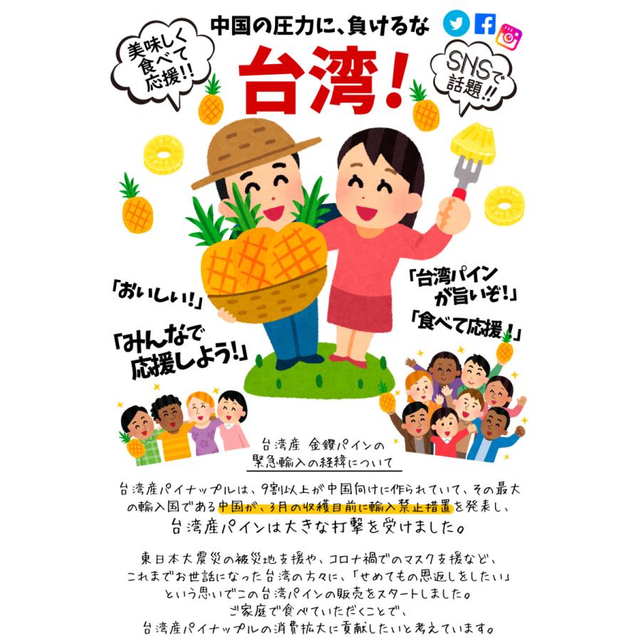 パイン 台湾産 金鑚パイン 10kg 芯までOK 鳳梨 送料無料 食品