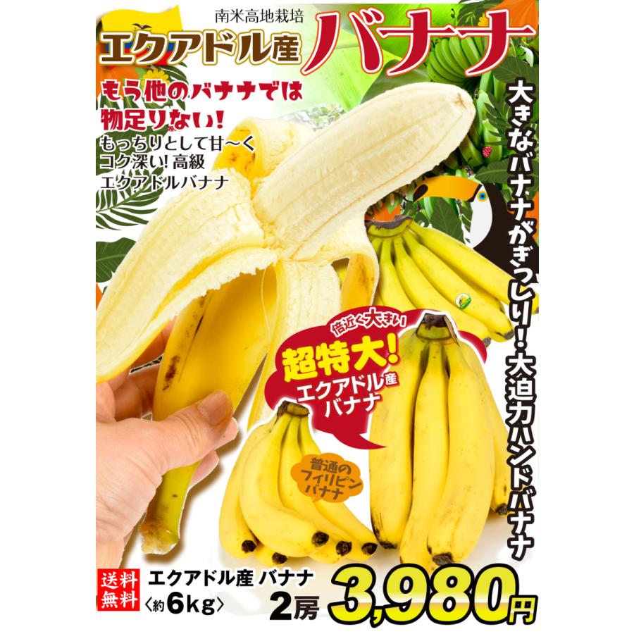 バナナ エクアドル産 2房 ご家庭用 ハンドバナナ フルーツ 国華園 果物 約6kg前後 送料無料 食品 おトク情報がいっぱい 2房