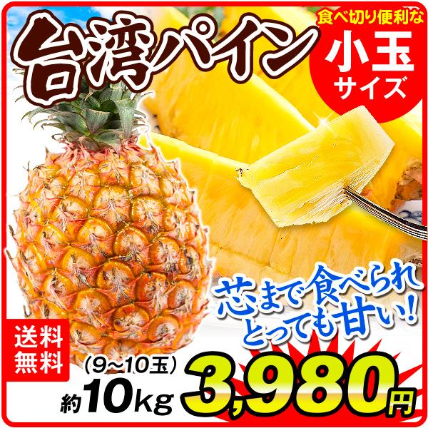 台湾パイン 約10kg 小玉サイズ 台湾産 パイナップル 9 10玉 送料無料 パイン 台農17号 金鑚 金鑚鳳梨 きんさん 国華園 6月上旬 発送 喜ばれる誕生日プレゼント