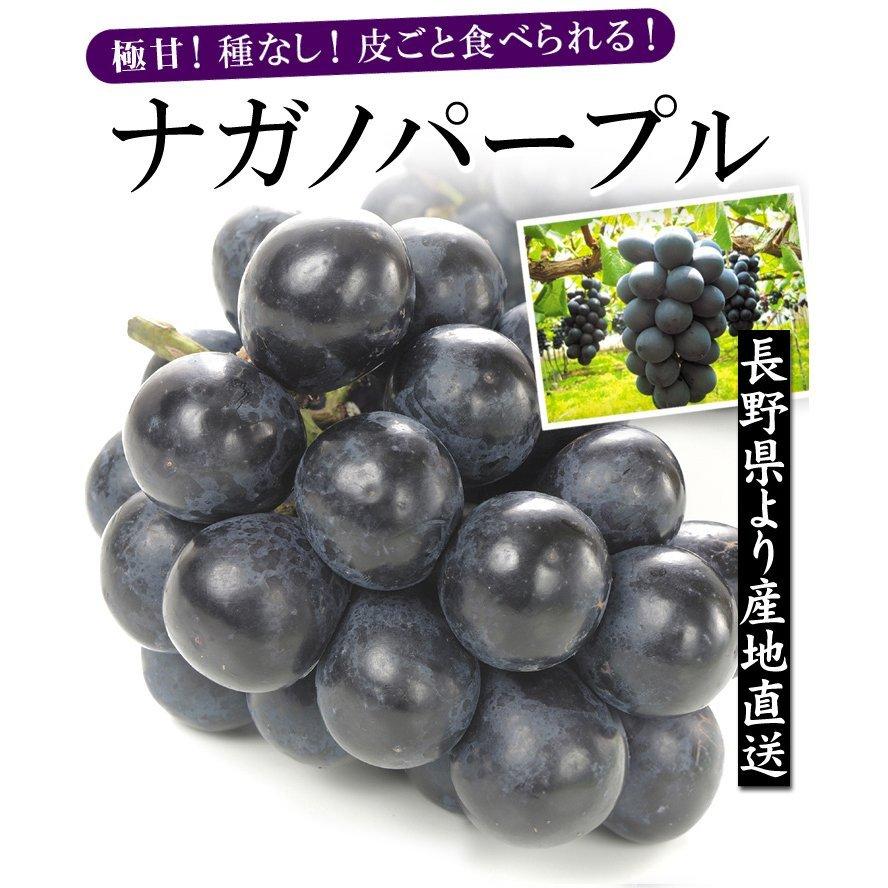 16200円 非売品 ドクダミ 兵庫県産 無添加 100% パウダー 2 800g 100g× 16200円 非売品 ドクダミ 兵庫県産 無添加 100% パウダー 2 800g 100g×