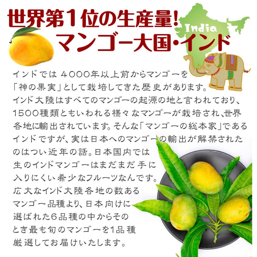 マンゴー 約2kg インド産 極楽マンゴー 送料無料 ご家庭用 品種おまかせ ケサール チョウサ アルフォンソ 食品4,480円 マンゴー タイ産 ”ナンドクマイマンゴー” 6〜8玉 約2kg前後 航空便 ゴールデンマンゴー 送料無料