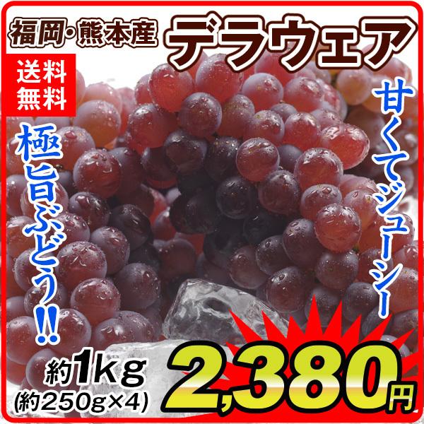 デラウェア ぶどう 約1kg 福岡・熊本産 デラウェア （約250g×4パック） 送料無料 ご家庭用 葡萄 デラ 食品