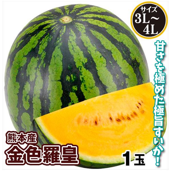 スイカ 1玉 金色羅皇 熊本産 送料無料 食品 : くだもの大陸・国華園