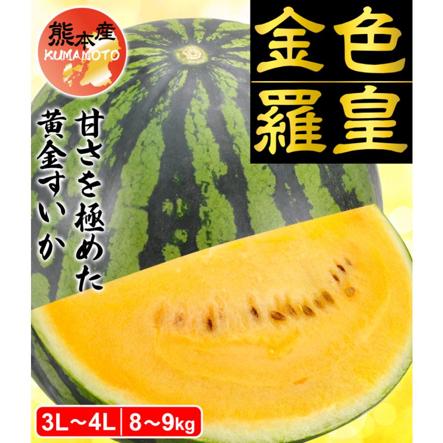 スイカ 1玉 金色羅皇 熊本産 送料無料 食品 : くだもの大陸・国華園