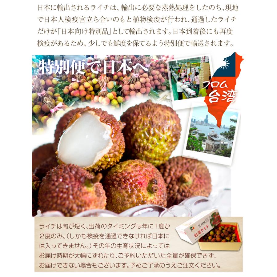 67.新潟県クール便特売新鮮青果生新鮮ライチ3kg玉数お任せ常温便 67.新潟県クール便特売新鮮青果生新鮮ライチ3kg玉数お任せ