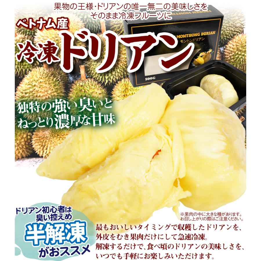 ドリアン ベトナム産 冷凍ドリアン 480g 箱入り 冷凍便 送料無料 食品