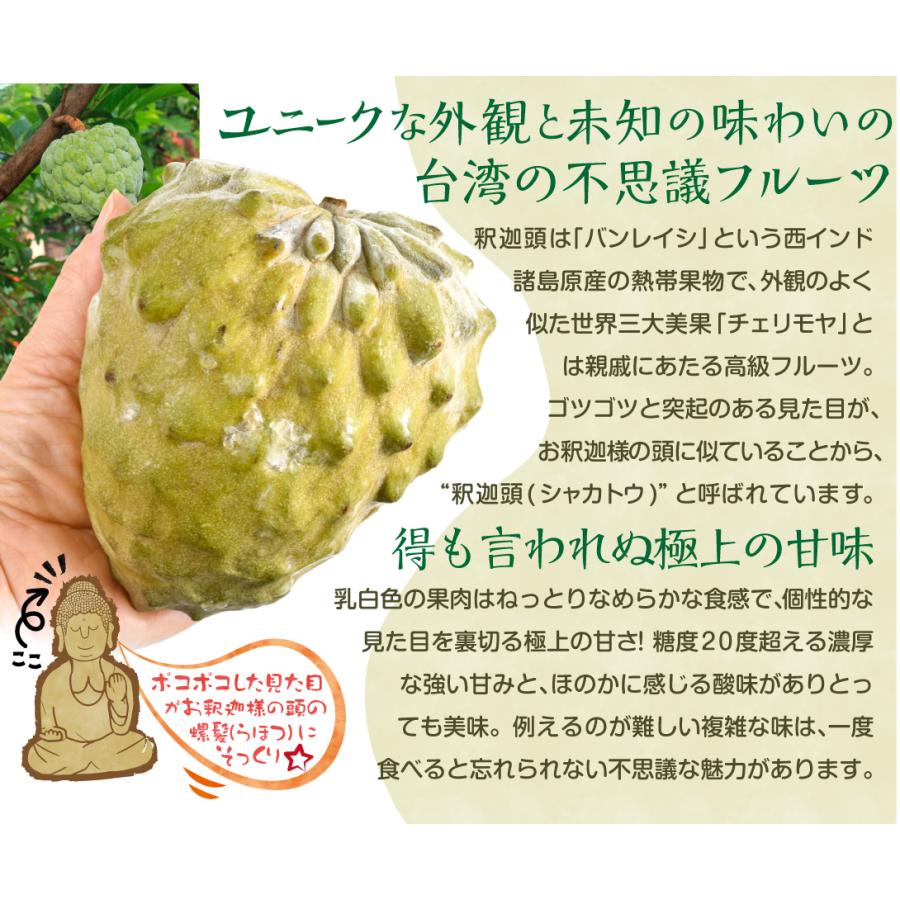 冷凍 アテモヤ カット 台湾産 360g (120g×3袋) 熱帯果実 食品 送料無料