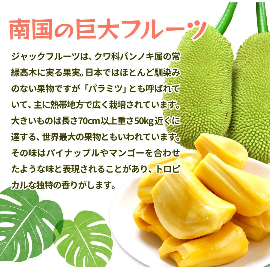 ジャックフルーツ チップス ベトナム産 約200g あすつく 食品 送料無料