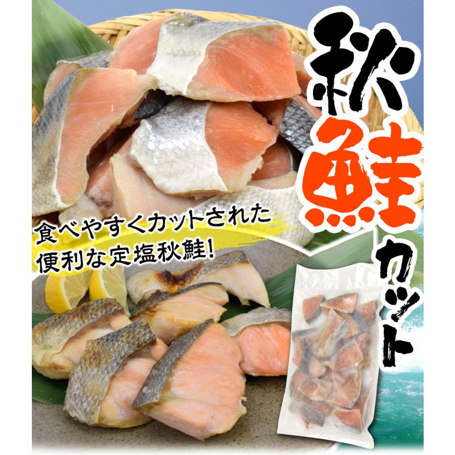 まっちゃん　秋鮭切り身等 秋鮭 カット 約30g×20切 定塩 鮭 切り身 冷凍 送料無料 食品