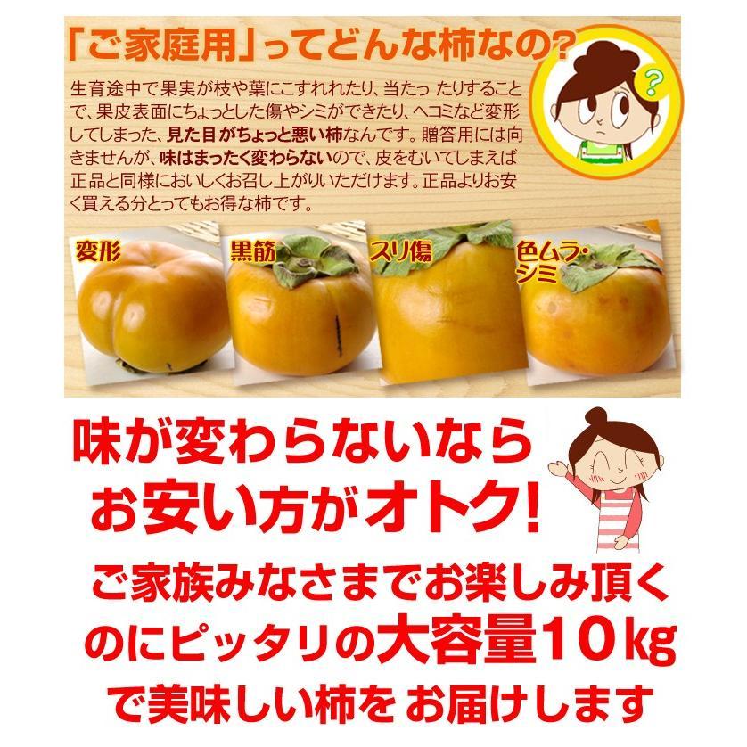 柿 約10kg 次郎柿 愛知産 甘柿 ご家庭用 人気品種 送料無料 食品