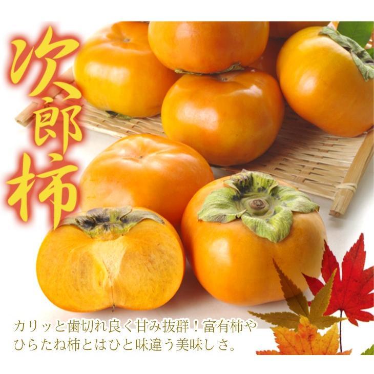 初売り 柿 約10kg 次郎 大特価 愛知産 ご家庭用 訳あり 送料無料 食品