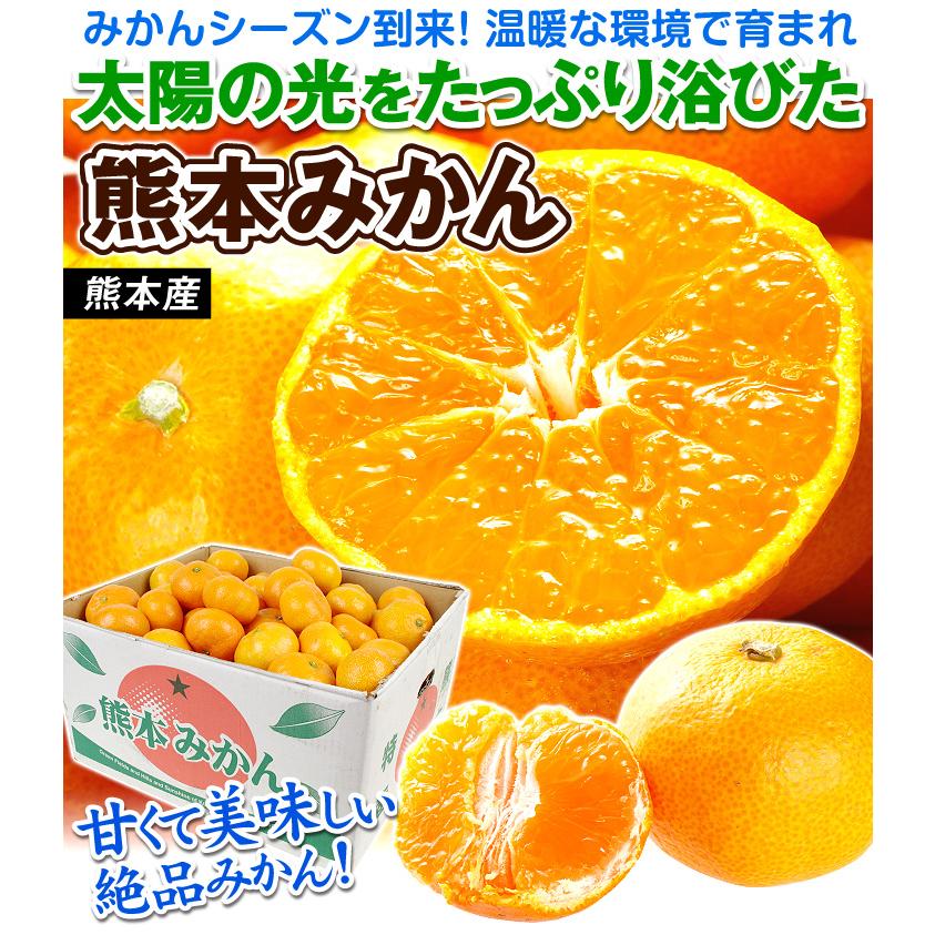 済。１１枚。ちい★みかん大感謝特価★
１２重ガーゼ
☆フェイスタオル☆ みかん 10kg 大特価みかん 熊本産 温州みかん 送料無料 食品 爆買