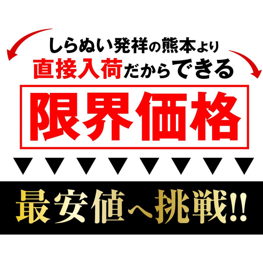 みかん 5kg 肥後不知火 熊本産 不知火 しらぬい デコ ご家庭用 送料無料 食品｜kokkaen3｜04