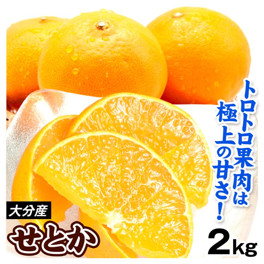 みかん せとか 2kg 大分産 ご家庭用 柑橘 フルーツ 蜜柑 送料 みかん せとか 2kg 大分産 ご家庭用 柑橘 フルーツ 蜜柑 送料