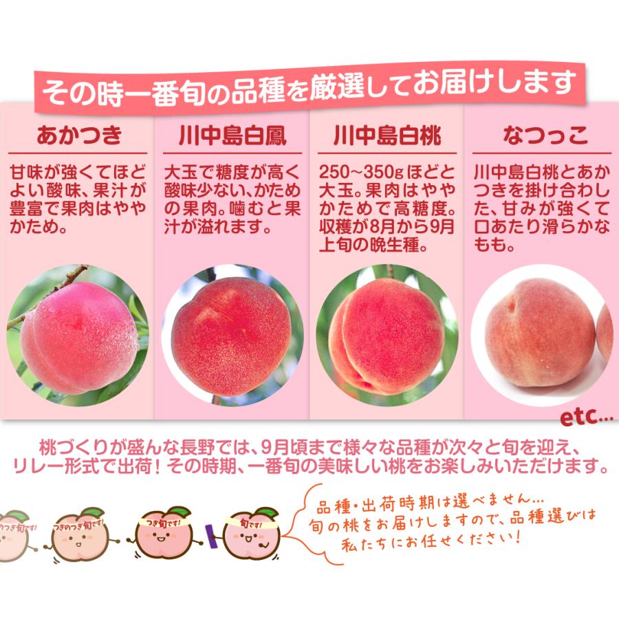 もも 1.5kg 信州長野の桃 長野産 送料無料 食品 : くだもの大陸・国華園 - 通販 - Yahoo!ショッピング