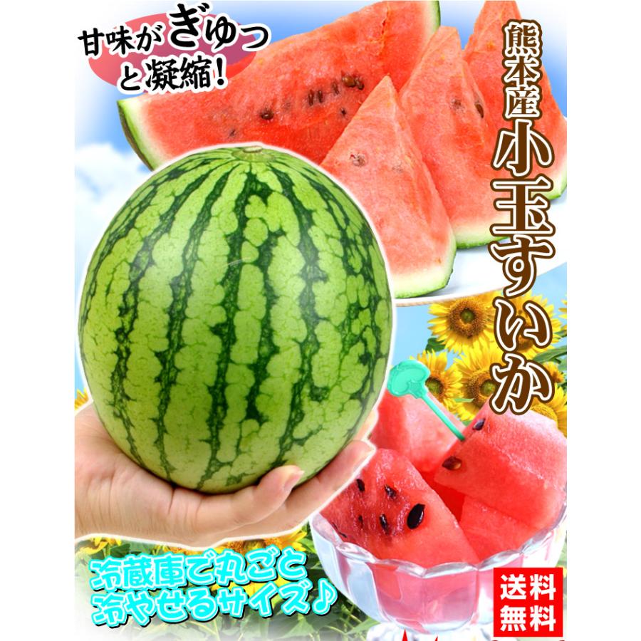 小玉すいか　2箱　熊本県産　3〜6玉入り スイカ 3玉（3.5〜4kg入り）植木の小玉すいか 熊本産 送料無料 食品
