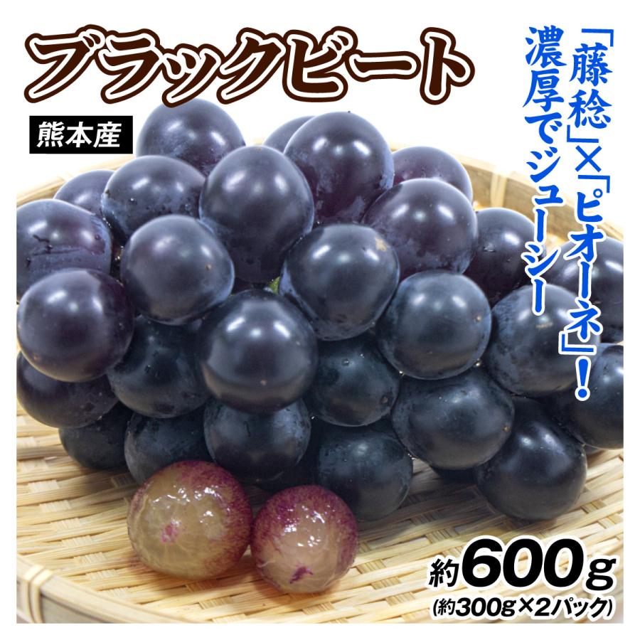 ぶどう 約600g（300g×2パック） ブラックビート 熊本産 送料無料 食品