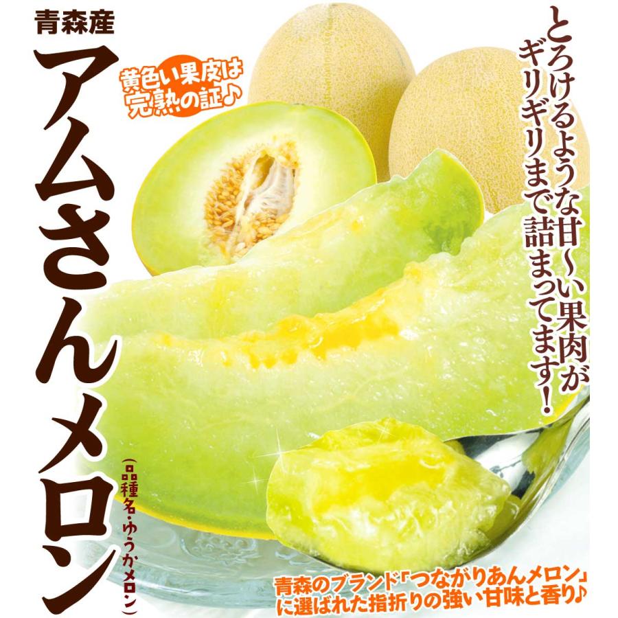 メロン 青森産 アムさんメロン 2.5kg ご家庭用 冷蔵便 送料無料 食品