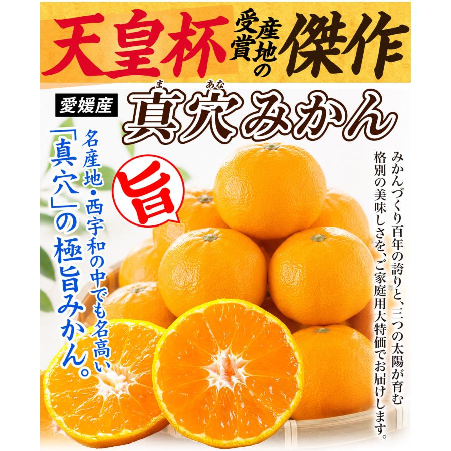 みかん 愛媛産 真穴みかん 5kg ご家庭用 送料無料 ギフト 天皇杯受賞