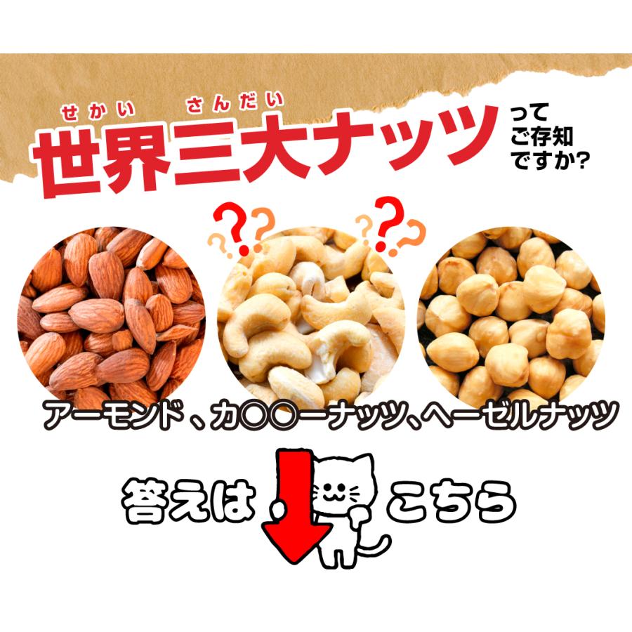カシューナッツ 500g 皮あり 皮なし 塩味 素焼き 2種類 ☆2つ 