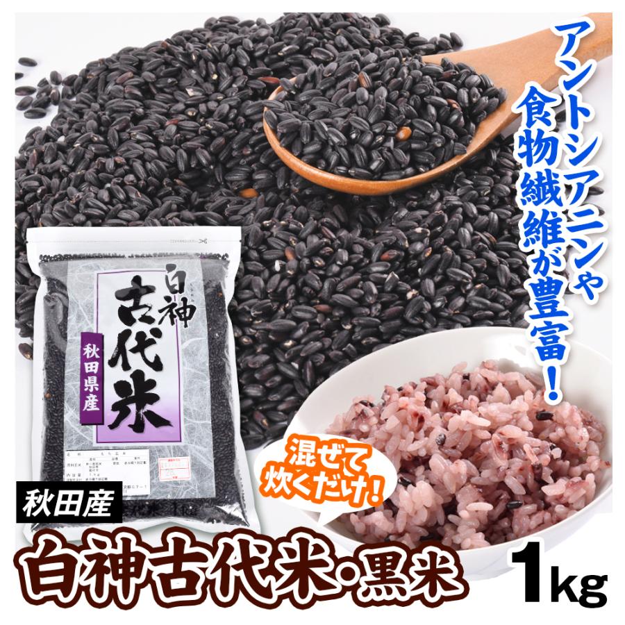 秋田産 白神古代米 1kg 古代米 もち玄米 穀物 送料無料 常温 ポスト投函 加工品 食品 : くだもの大陸・国華園 - 通販 ...