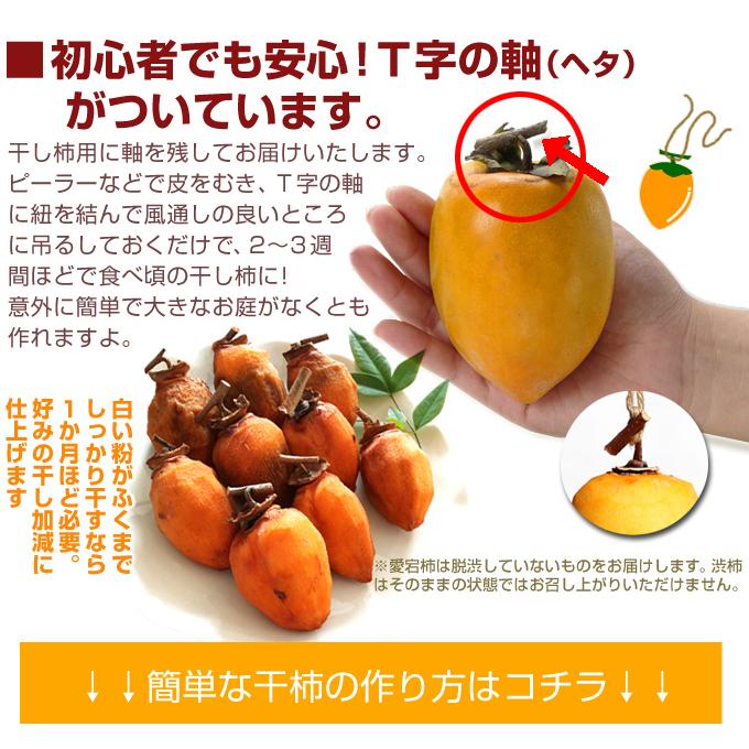新物入荷‼️干し柿　干柿　アンポ柿　箱込み10kg 新物入荷‼️干し柿 干柿 アンポ柿 箱込み10kg 【公式通販】