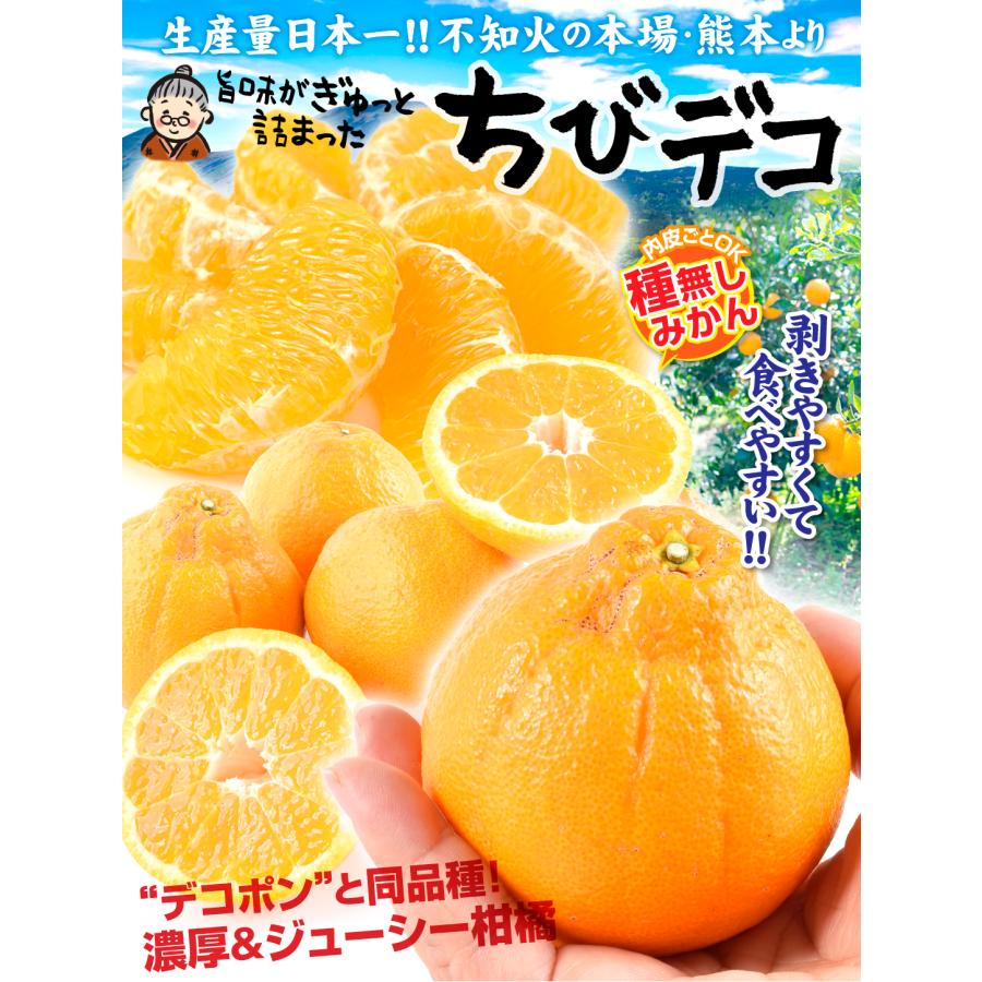 みかん 4kg ちびデコ 熊本産 不知火 オレンジ デコ 柑橘 蜜柑 送料無料