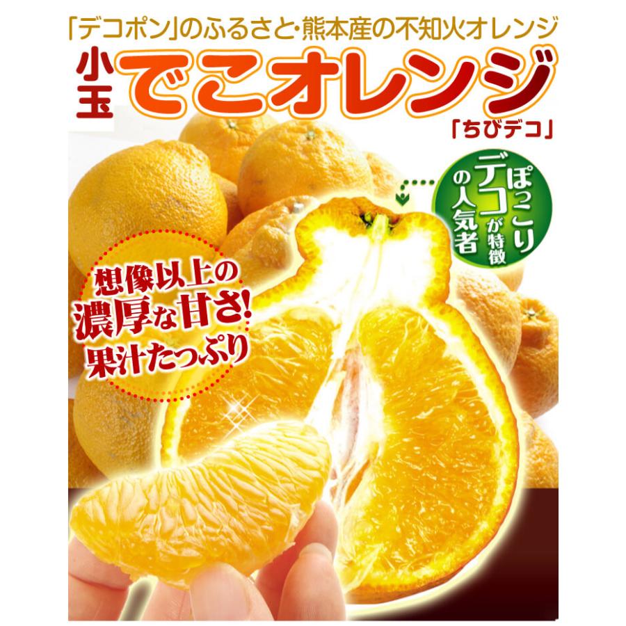 みかん 4kg ちびデコ 熊本産 不知火 オレンジ デコ 柑橘 蜜柑 送料無料