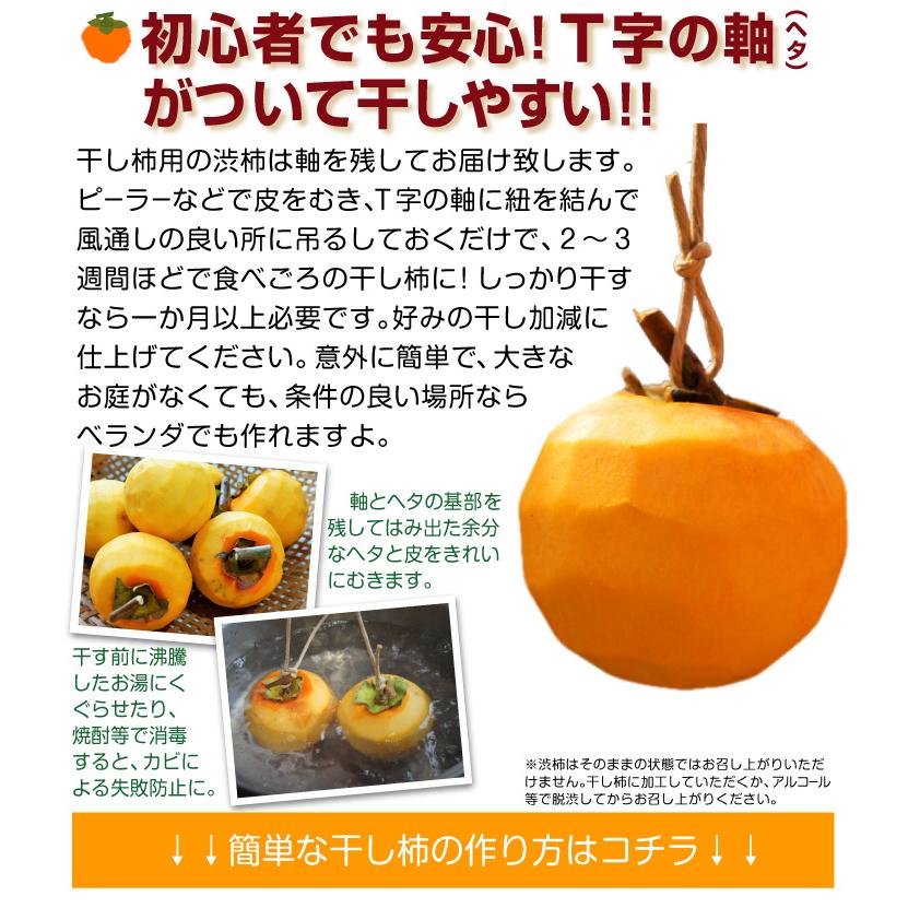 柿 10kg 江戸柿【干柿用渋柿】奈良産 ご家庭用 送料無料 食品