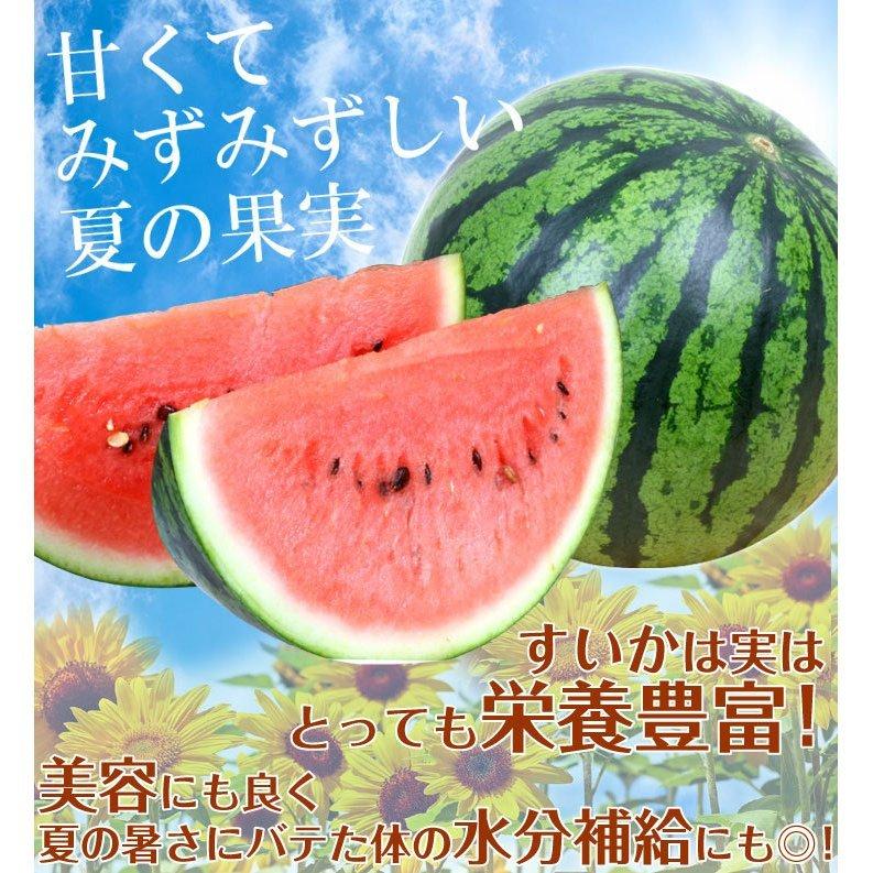 産地直送 熊本植木町スイカ【2玉入り】9kg スイカ 熊本産 植木のすいか 2玉 送料無料 食品 : 食みらい・国