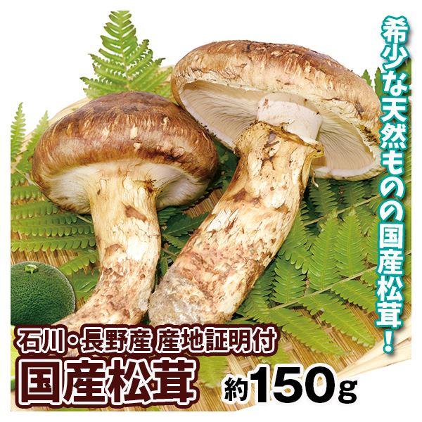 松茸 約150g（1〜6本） 国産 石川・長野産 まつたけ 産地証明付 きのこ