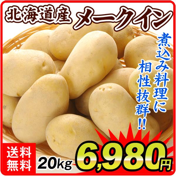 高い素材 じゃがいも kg 10kg 2箱 北海道産 メークイン M L 送料無料 芋 野菜 食品 国華園