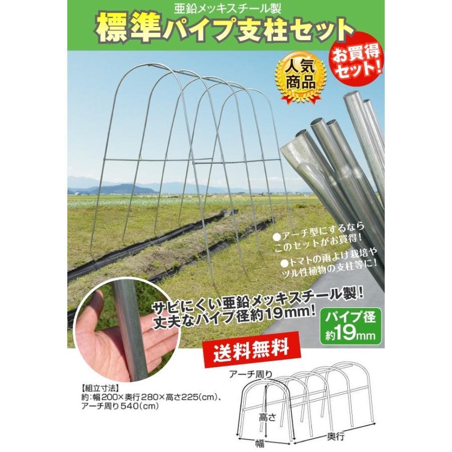 国華園 園芸支柱 支柱 新型 パイプ支柱 標準パイプ支柱セット 1組
