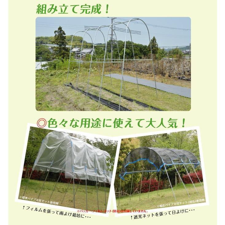 園芸支柱 支柱 新型 パイプ支柱 標準パイプ支柱セット 1組