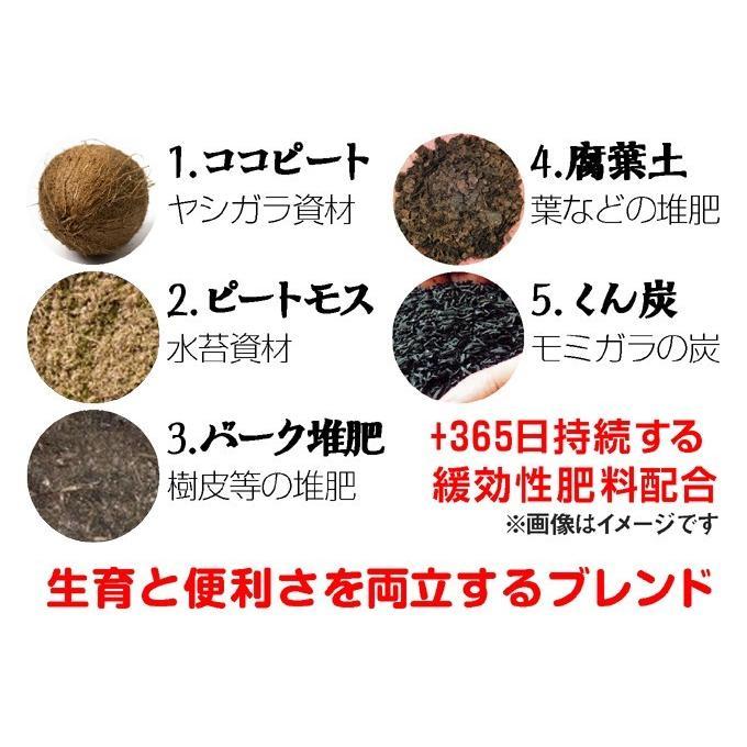 培養土 土（25L×2袋セット）プレミアムかる〜い培養土 25リットル 2袋1