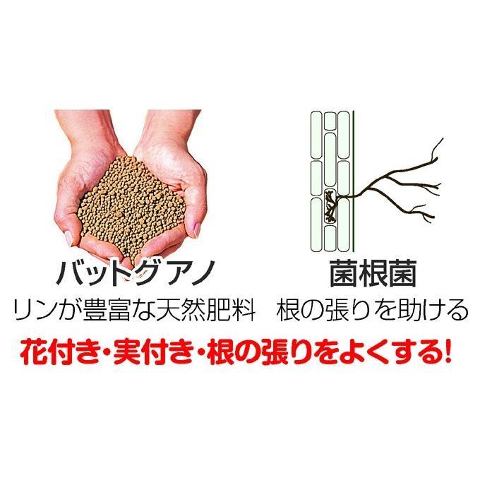 国華園 培養土 土（25L×2袋セット）プレミアムかる〜い培養土 25