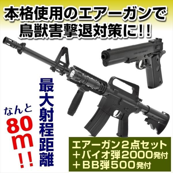 獣害 鳥害 おどし用 鳥獣害対策単発式エアーガン2点セット1組 バイオ